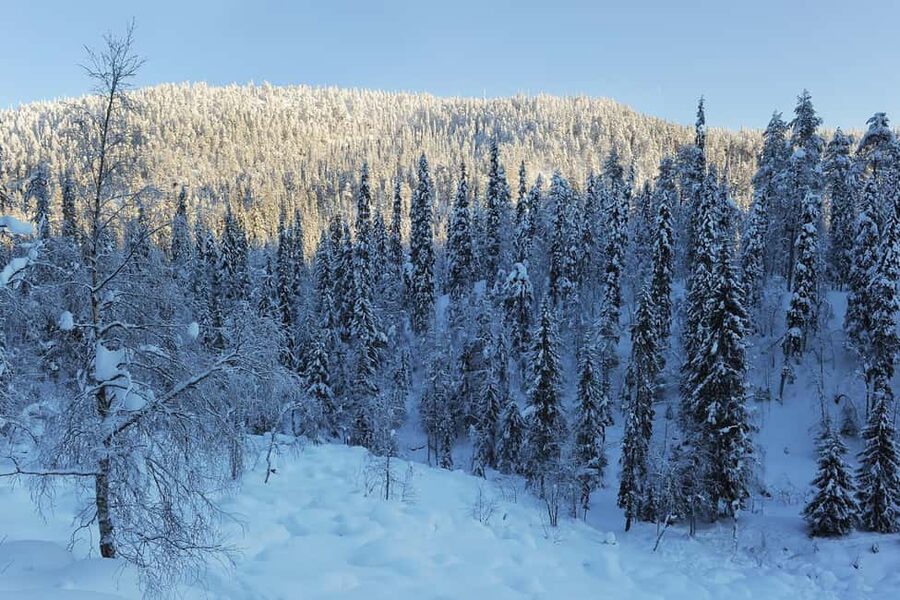 Rovaniemi: Korouoma Wilderness Café’s Icefall Tour and Lunch - Who This Tour Suits Best (And Who Might Sit This One Out)