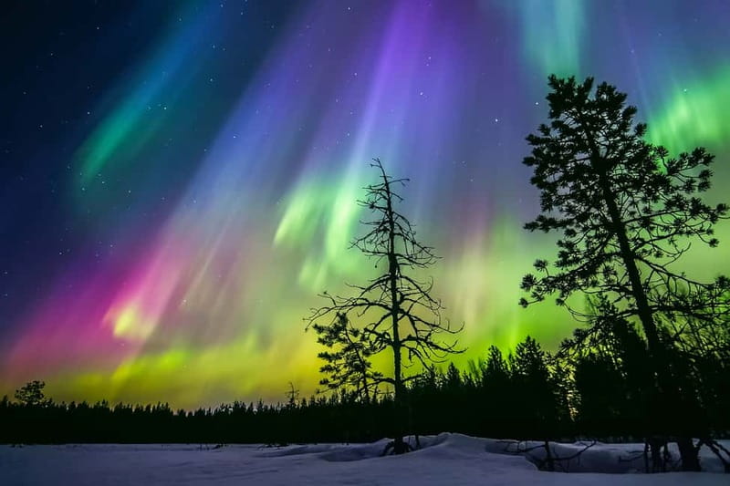 Rovaniemi: Lakeside Private Sauna with Aurora Borealis - What’s included: the sauna session, drinks, and the basics