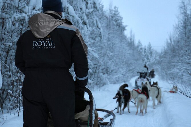 Rovaniemi Lapland Husky Experience 5km - Key things I’d mark on your mental map
