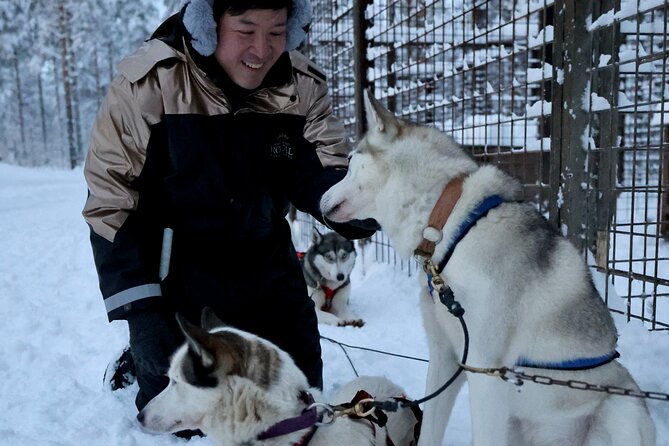 Rovaniemi Lapland Husky Experience 5km - The 5 km ride itself: timing, speed, and what the dogs do for you