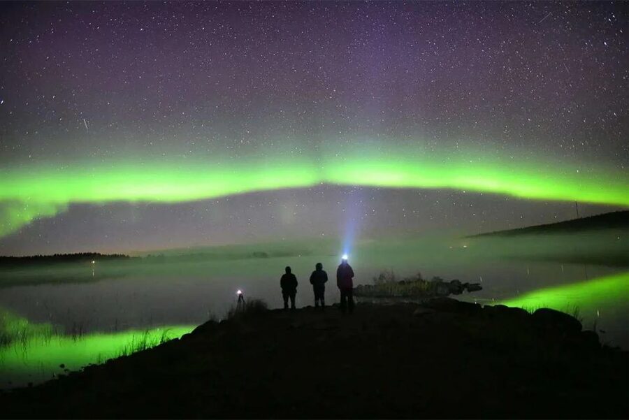 Rovaniemi: Lapland Northern Lights Tour with BBQ - The forest drive: your first clue is the darkness