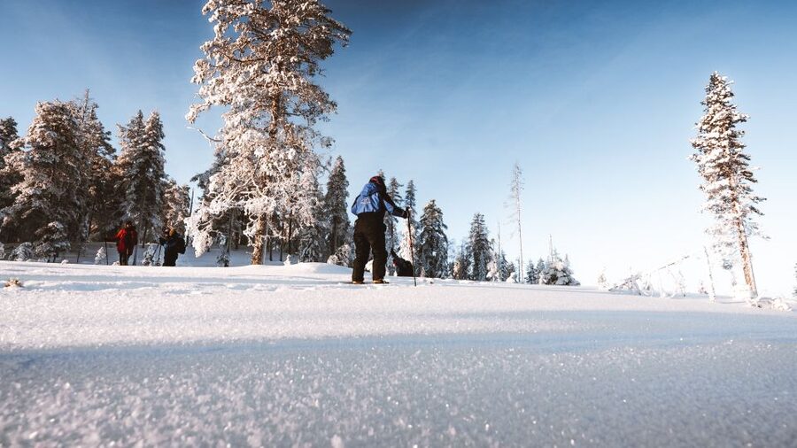Rovaniemi: Lapland Ski Trekking Safari - Key things to know before you go