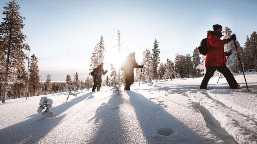 Rovaniemi: Lapland Ski Trekking Safari - Why ski trekking works better than groomed trails