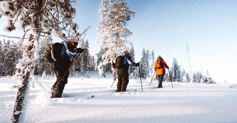 Rovaniemi: Lapland Ski Trekking Safari - Getting the hang of back-country skiing (even if it’s your first time)