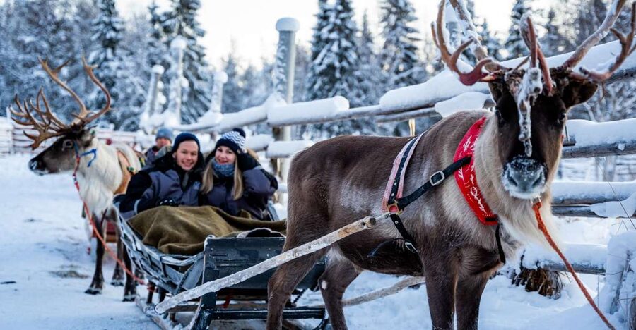 Rovaniemi: Local Reindeer Farm Visit with Sleigh Ride - The Kota Hut Break: Hot Drinks, Snacks, and a Lappish Pause