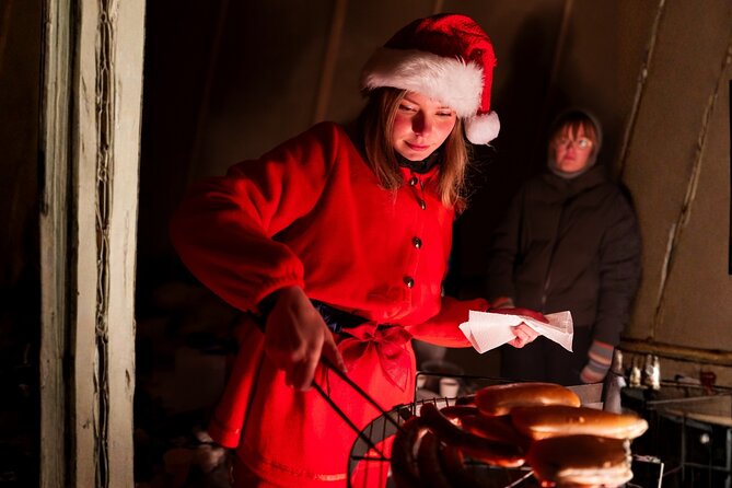 Rovaniemi: Meet Santa Claus & Northern Lights Experience - Pace, group feel, and what it costs you in time