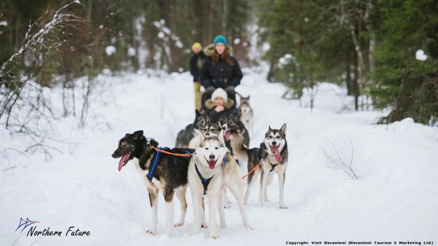 Rovaniemi: Meet Santa Claus, Reindeer Sleigh Ride & Huskies - The real pitch: Santa plus Arctic Circle plus two sled rides