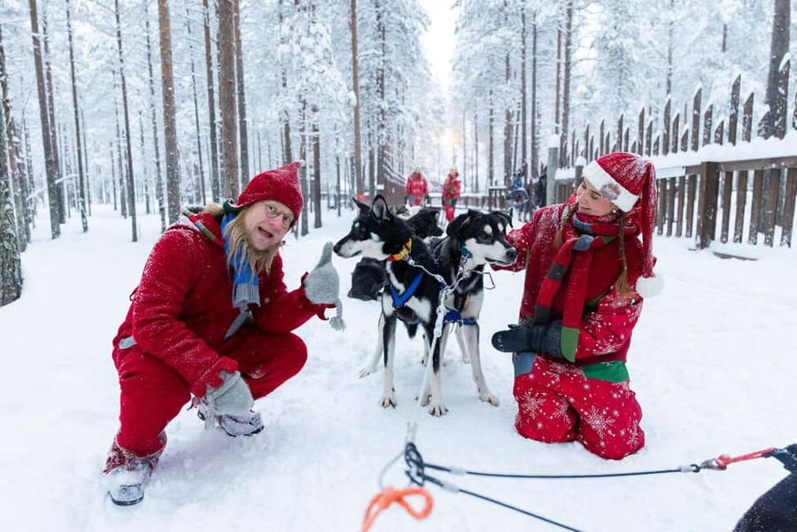 Rovaniemi: Meet Santa's Most Trusted Husky Dogs - Key Things to Know Before You Go