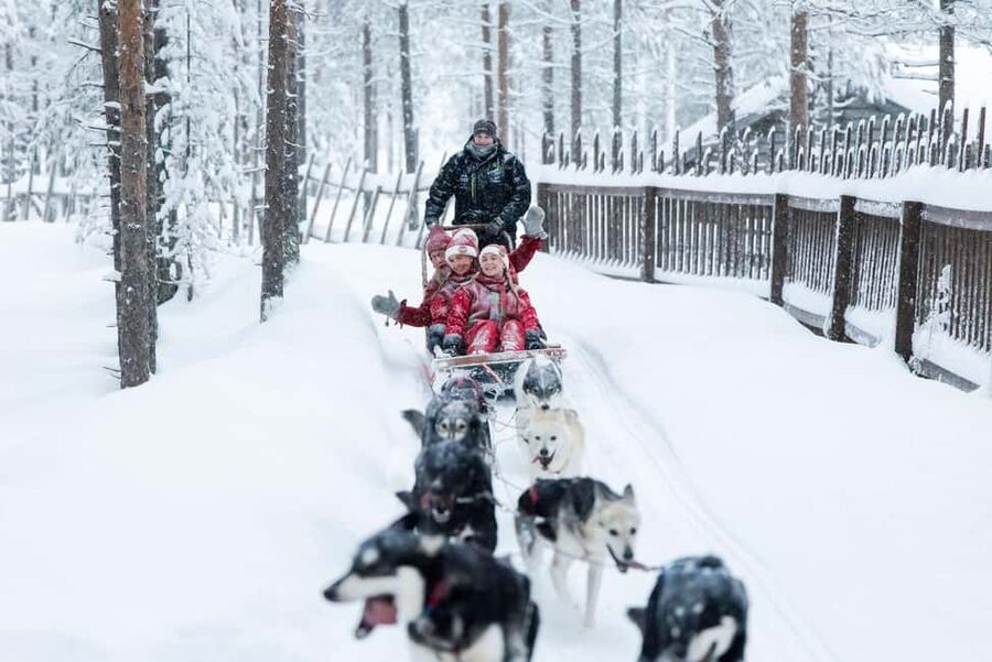 Rovaniemi: Meet Santa's Most Trusted Husky Dogs - Santa’s Elves Lead the Way from the Elf Adventure Center