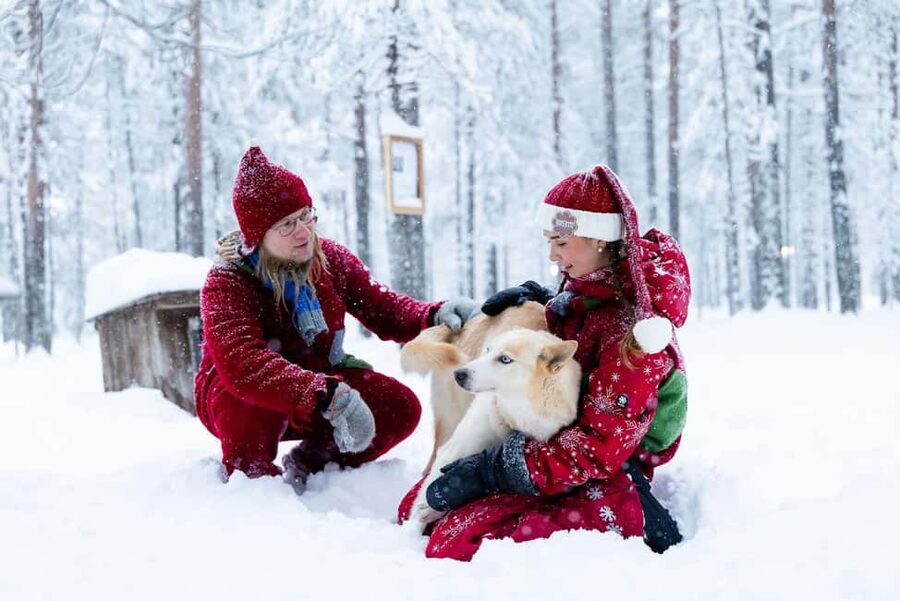 Rovaniemi: Meet Santa's Most Trusted Husky Dogs - The Musher-Led 3 km Sleigh Ride That Still Feels Human-Scale