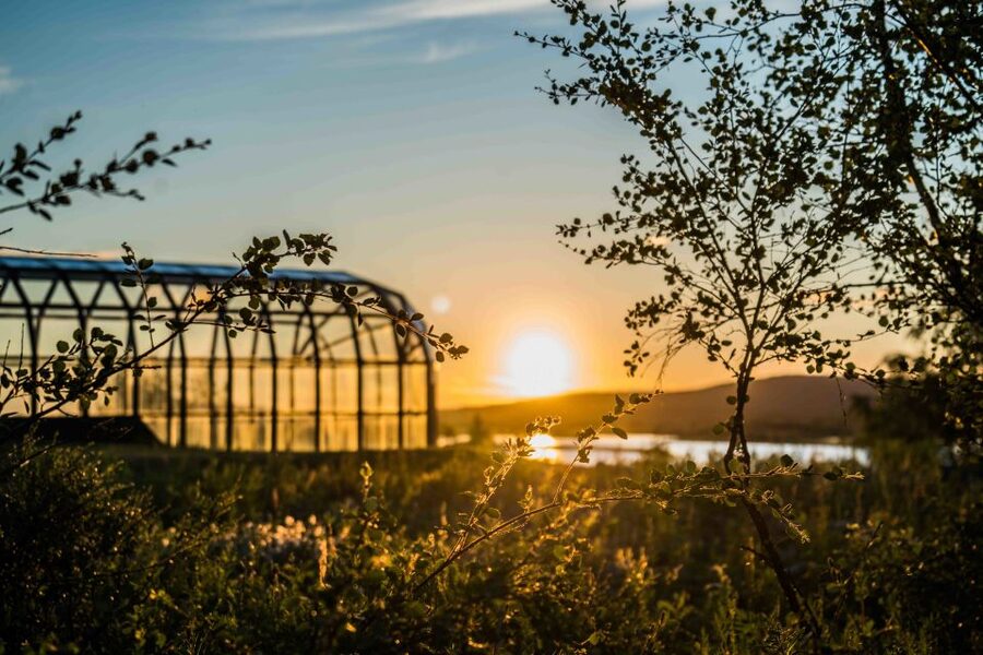 Rovaniemi: Midnight Sun Photography Tour - Nature stops: why rivers and forests work so well in midnight light