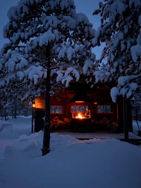 Rovaniemi: Mystical Lapland Forest Entry Ticket - Key Highlights You’ll Feel Right Away