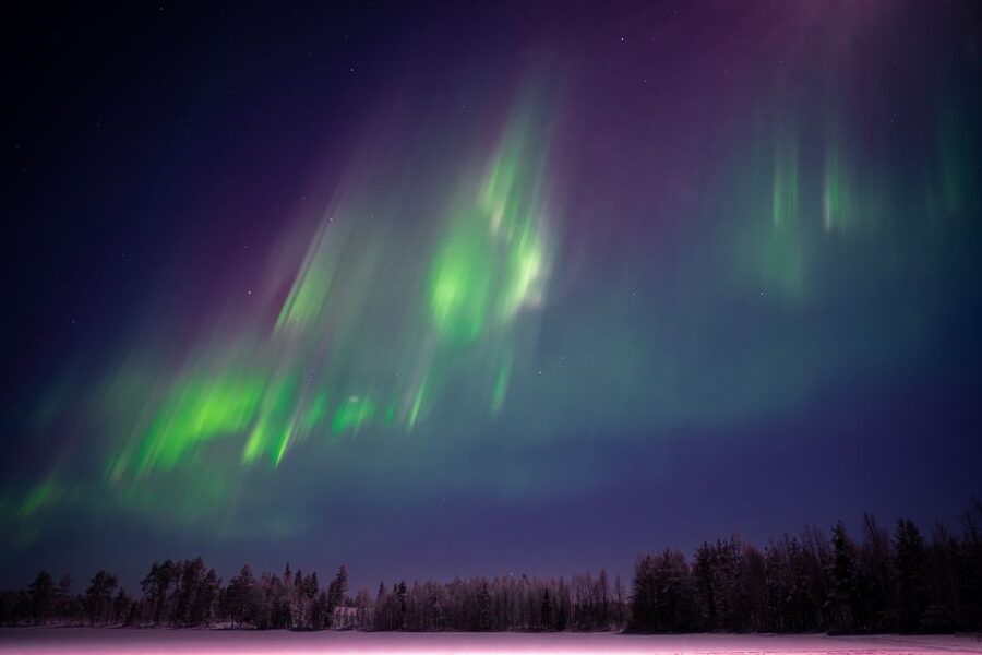 Rovaniemi: Night Sky lappish Barbecue - Aurora Borealis facts and local culture from your guide