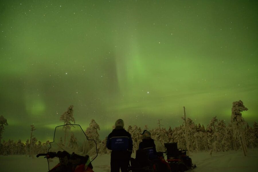 Rovaniemi: Night Snowmobile Tour - Rules of the Ride: Alcohol, Licenses, and Who Should Skip It