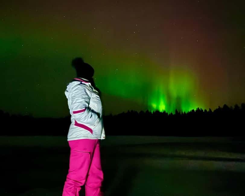 Rovaniemi: Night Tour in Search of the Aurora with BBQ - Pickup, Vans, and Timing: The Stuff That Controls Your Comfort