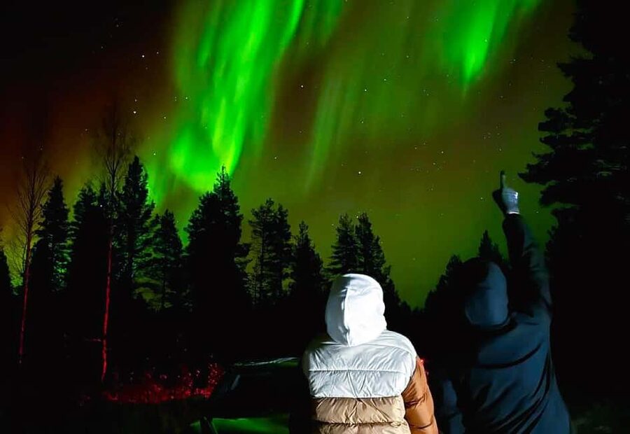 Rovaniemi: Night Tour in Search of the Aurora with BBQ - Final Photo Stop Back in Lapland: Last-Chance Viewing in the Dark