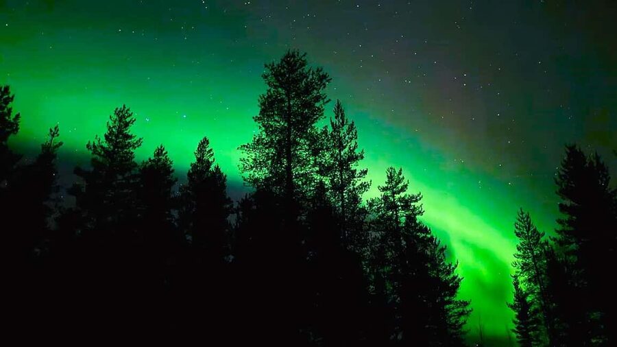 Rovaniemi: Night Tour in Search of the Aurora with BBQ - The One Real Risk: Weather and the No-Guarantee Reality