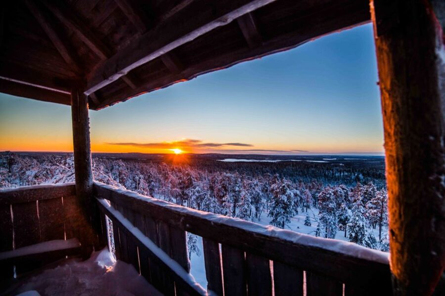 Rovaniemi: Nordic Forest Wilderness Adventure - Key highlights you’ll actually feel