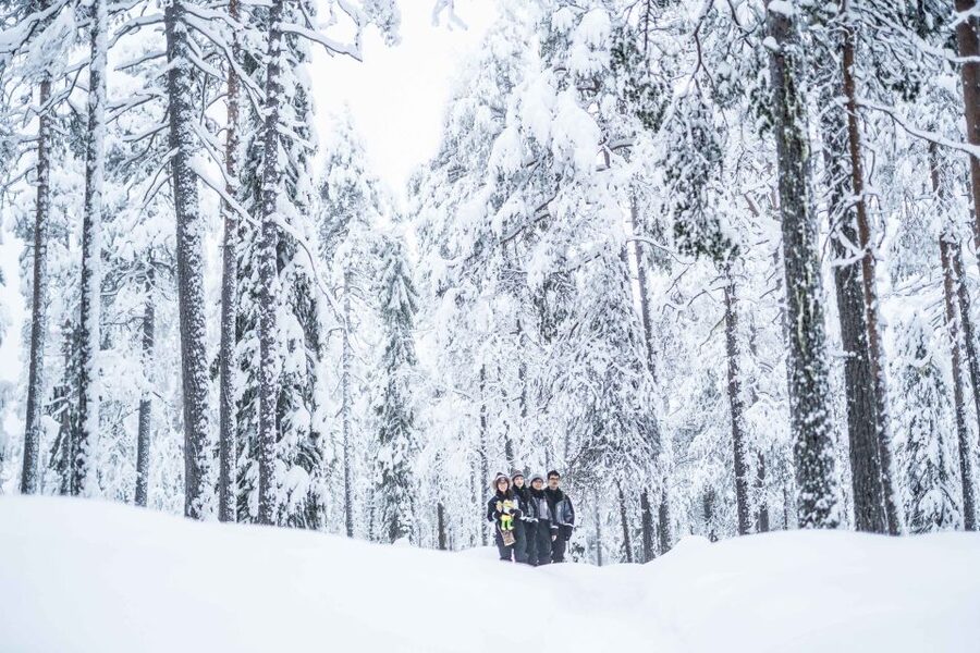 Rovaniemi: Nordic Forest Wilderness Adventure - Practical photo and comfort tips before you go