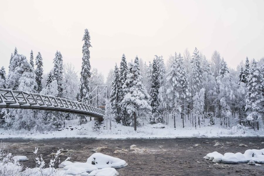 Rovaniemi: Nordic Forest Wilderness Adventure - What’s included (and what it means for your comfort)