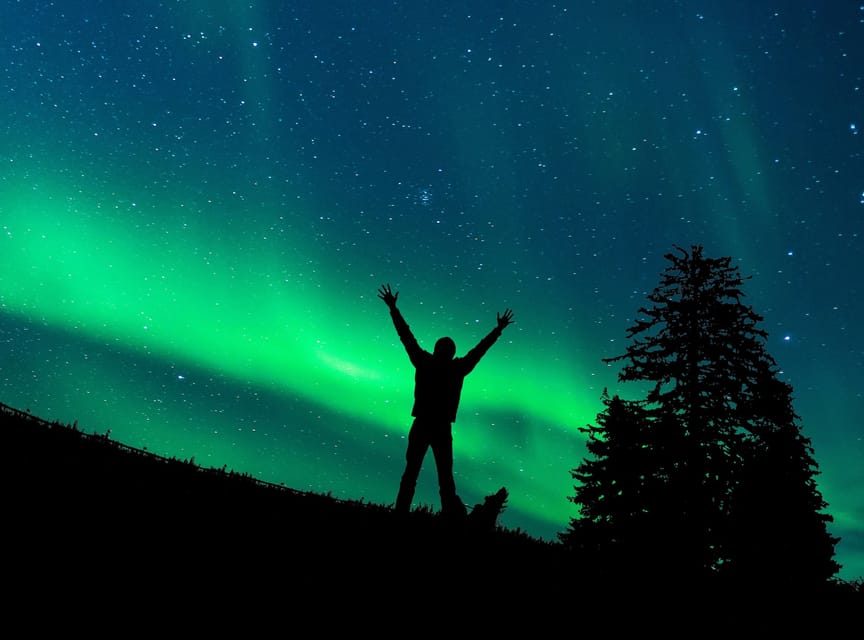Rovaniemi: Northern Light Hunt Tour with ProCamera - Key highlights you’ll feel right away