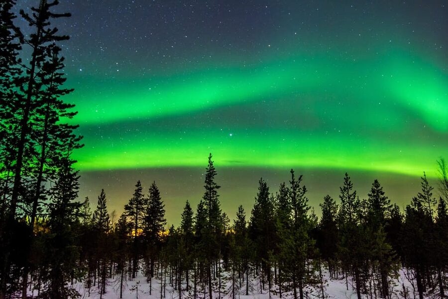 Rovaniemi: Northern Light Hunt Tour with ProCamera - Comfort in the cold: heated vehicles, drinks, and staying sharp