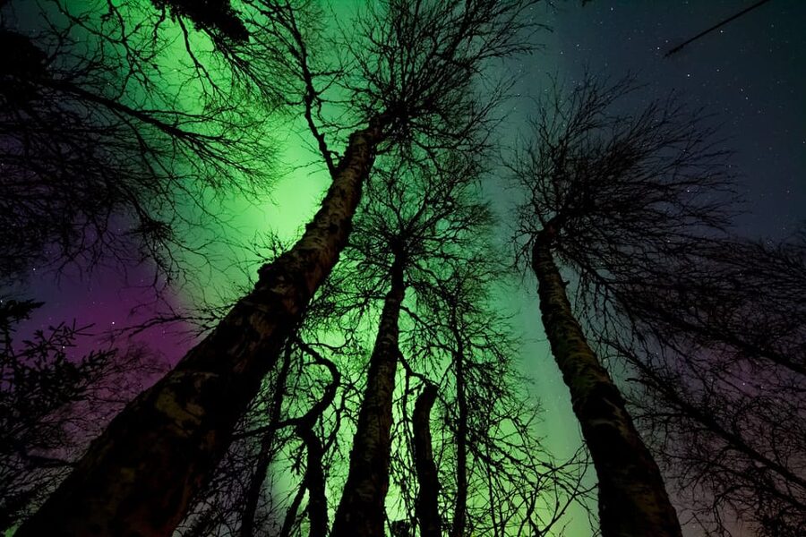 Rovaniemi: Northern Light Hunt Tour with ProCamera - Guide attention and small-group pace (max 8)