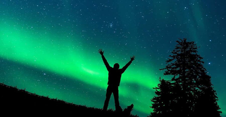 Rovaniemi: Northern Light Hunt Tour with ProCamera - Who this tour is best for (and who should rethink it)