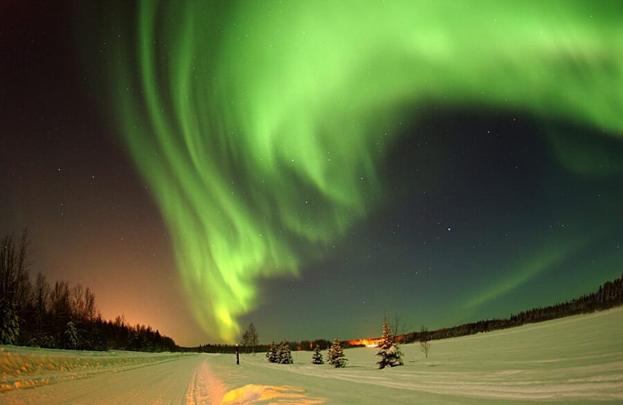 Rovaniemi: Northern Light Hunt Tour with ProCamera - Price and value: what you’re really getting