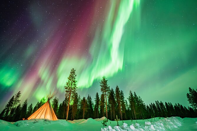Rovaniemi Northern Light Hunt with Campfire and BBQ with Transfer - Meeting Point and Pickup: Where You Start and Why Timing Matters