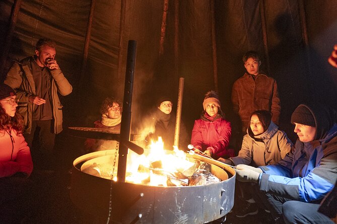 Rovaniemi Northern Light Hunt with Campfire and BBQ with Transfer - Campfire BBQ in the Snow: What You’ll Eat While You Wait