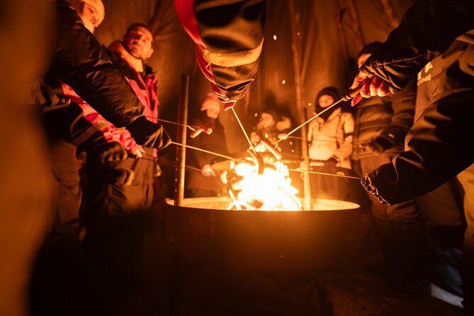 Rovaniemi Northern Light Hunt with Campfire and BBQ with Transfer - Guides and Group Energy: When the Stories Land