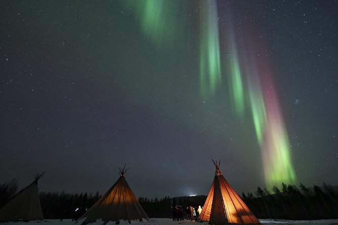 Rovaniemi Northern Light Hunt with Campfire and BBQ with Transfer - Value Check for $85.54: What You’re Buying (and What Can Feel Like a Letdown)