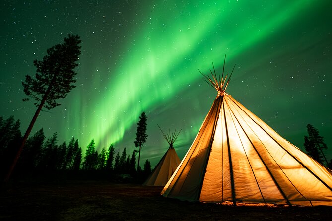 Rovaniemi Northern Light Hunt with Campfire and BBQ with Transfer - Who Should Book This Aurora and BBQ Night?