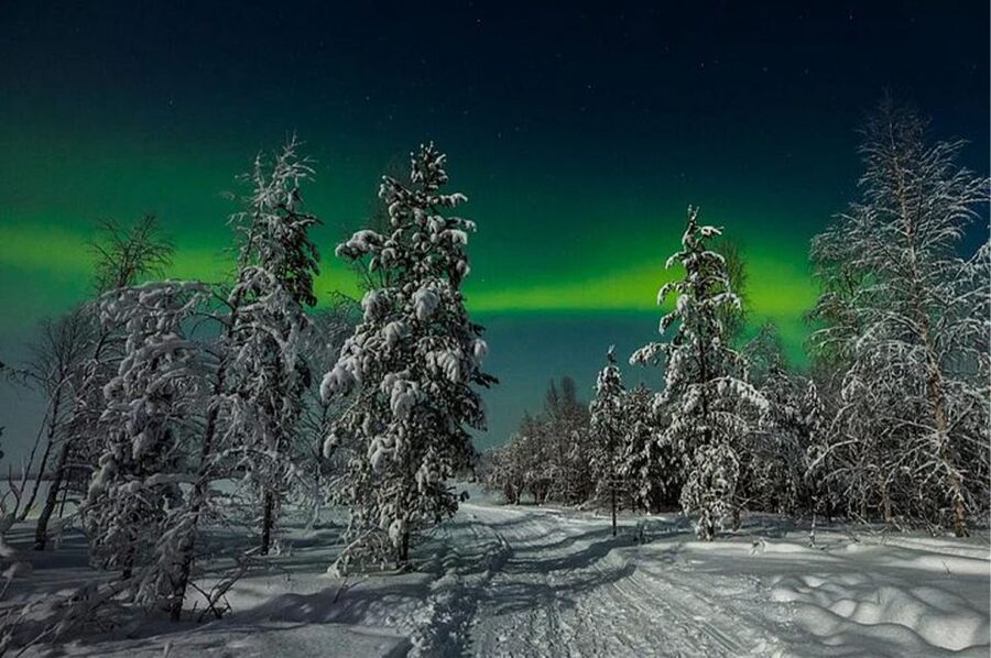 Rovaniemi: Northern Lights and Husky Sleigh Ride - Why This Husky + Aurora Evening Works in Rovaniemi