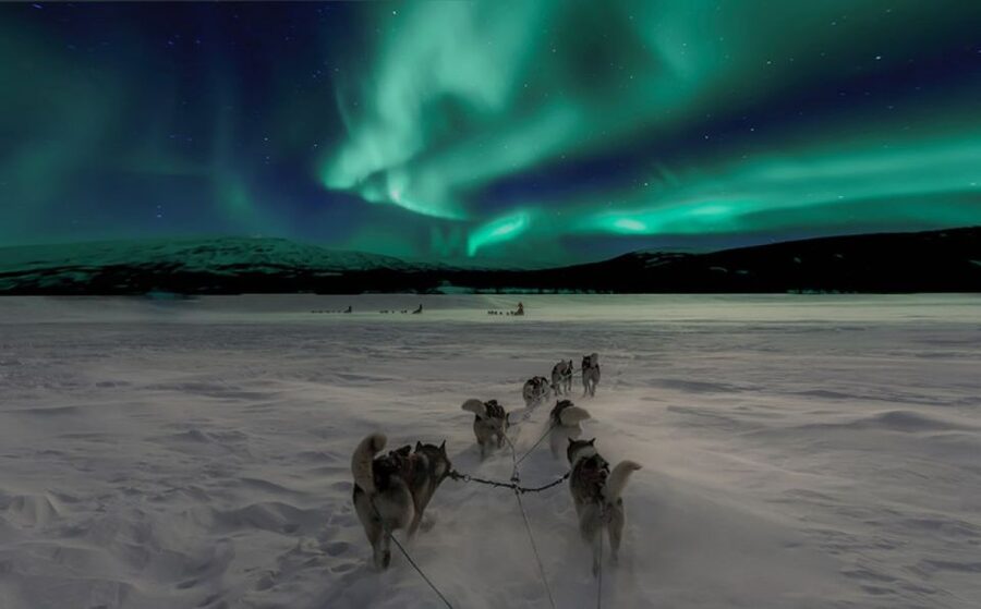 Rovaniemi: Northern Lights and Husky Sleigh Ride - The 5-km Husky Sleigh Ride: What It Feels Like