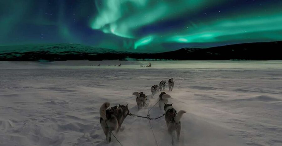 Rovaniemi: Northern Lights and Husky Sleigh Ride - Aurora Hunt by Car: How the Searching Actually Works