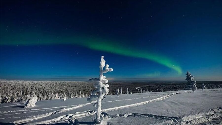 Rovaniemi: Northern Lights and Husky Sleigh Ride - Northern Lights Reality Check: Plan for a Chance