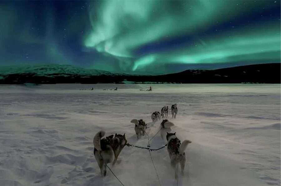 Rovaniemi: Northern Lights and Husky Sleigh Ride - From Pickup to Farmhouse: Getting Your Night Started Right