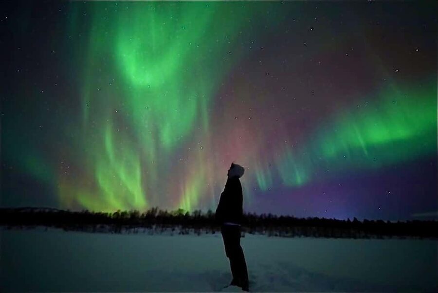 Rovaniemi: Northern Lights Aurora Guarantee Tour - How the guide uses real-time data (and why long drives matter)