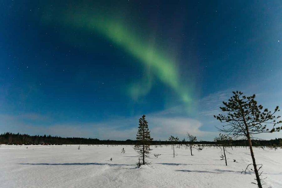 Rovaniemi: Northern Lights Family-Friendly Snowmobile Safari - The winter gear reality check (and why it helps)
