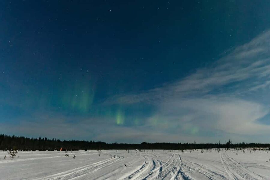 Rovaniemi: Northern Lights Family-Friendly Snowmobile Safari - Price and what you actually get for $181
