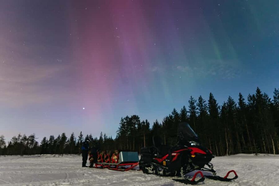 Rovaniemi: Northern Lights Family-Friendly Snowmobile Safari - Snowmobile driving and the family sleigh setup