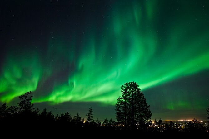 Rovaniemi: Northern Lights Group Tour - Guaranteed View - Price and Value: Why $129.52 Can Make Sense Here