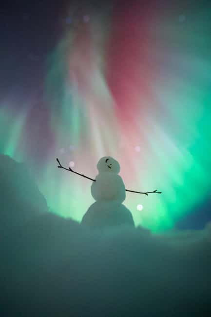 Rovaniemi: Northern Lights Group Tour with Guaranteed View - Quick Take: What You’ll Notice Right Away