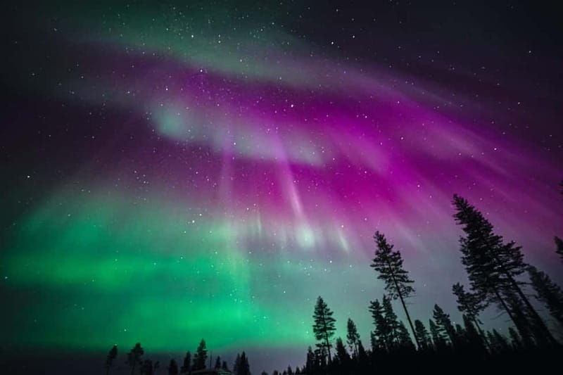 Rovaniemi: Northern Lights Group Tour with Guaranteed View - Real-Time Hunting: How the Route Gets Smarter as the Night Changes