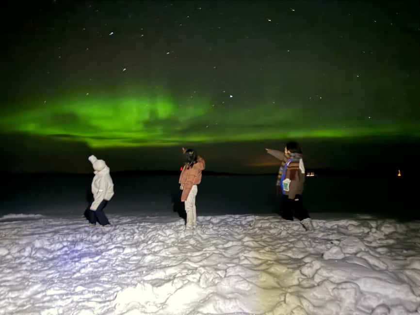 Rovaniemi:Northern Lights Hunt in Lapland Wilderness - Key Things I’d Plan for Before You Go