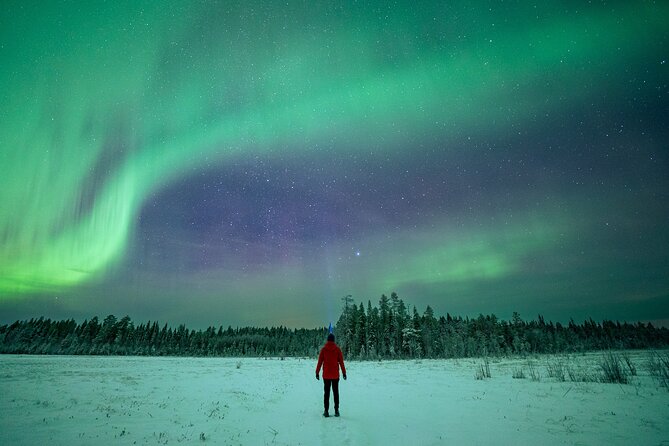 Rovaniemi Northern Lights Hunt With A Professional Photographer - Stop by Stop: What You’ll Do During the Lapland Leg