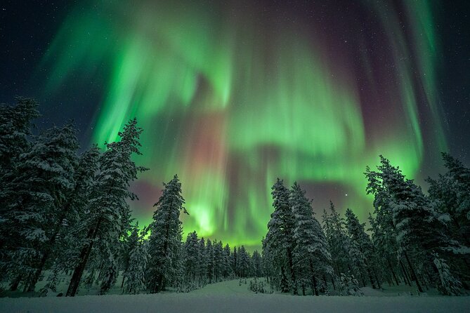 Rovaniemi Northern Lights Hunt With A Professional Photographer - What to Bring: Clothing and Snacks You’ll Want for the Hunt