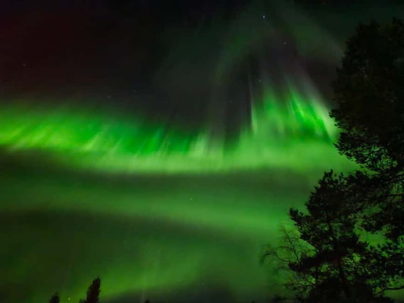 Rovaniemi: Northern Lights Hunters. Aurora + BBQ - Where This Aurora Tour Wins: Firelight, Ice, and Real Lapland Cozy